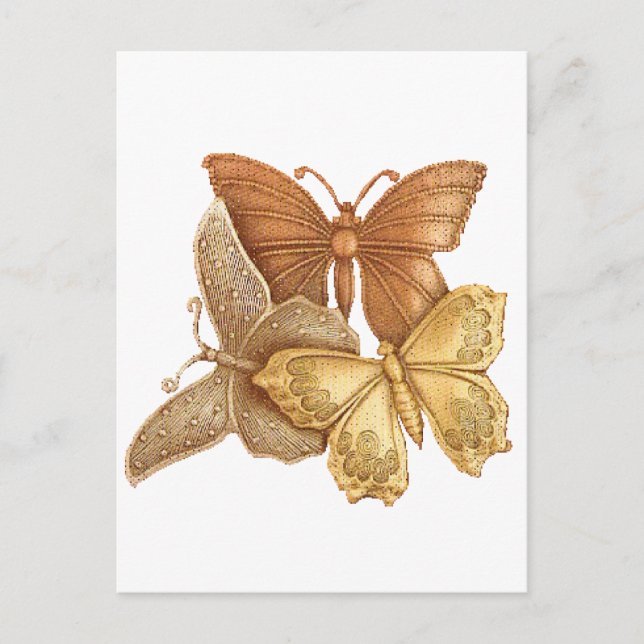 Postal Manada de mariposas (Anverso)