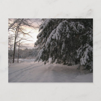 Postal Manadas cubiertas de nieve