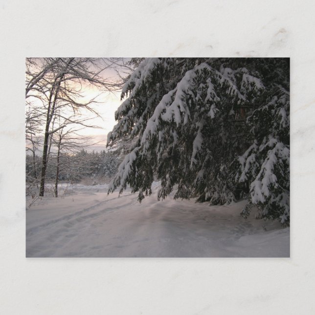Postal Manadas cubiertas de nieve (Anverso)