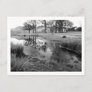 Postal Mañana de invierno: Bahía Strandshag, Derwentwater