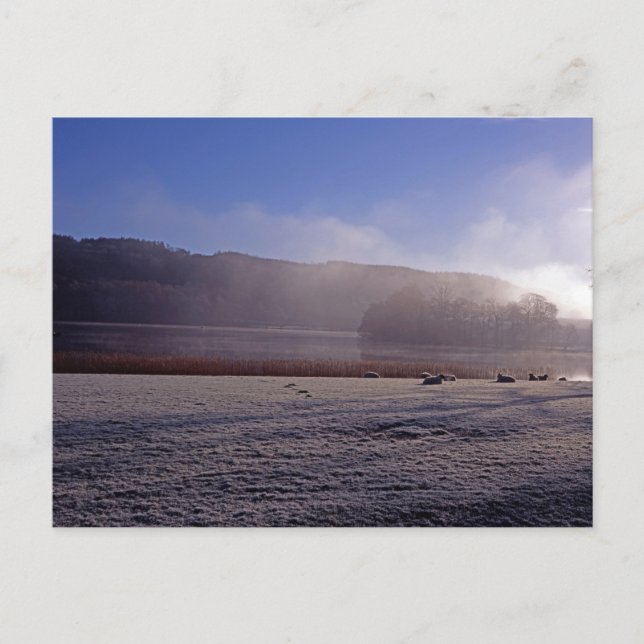 Postal Mañana de invierno fría Esthwaite Water England (Anverso)