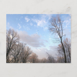 Postal Mañana de invierno I