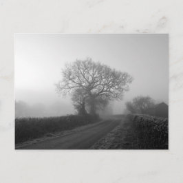 Postal Mañana de Invierno Misty: Cheshire, Inglaterra