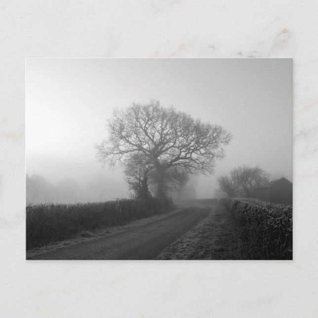 Postal Mañana de Invierno Misty: Cheshire, Inglaterra (Anverso)