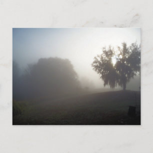 Postal mañana de niebla temprano justo al amanecer