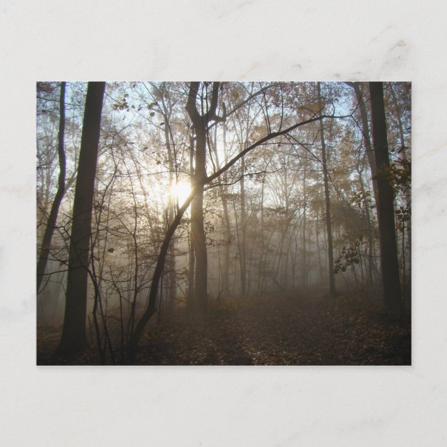Postal Mañana de otoño en el bosque #1 (Anverso)