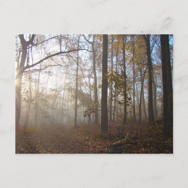 Postal Mañana de otoño en el bosque #2 (Anverso)