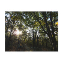 Mañana de otoño en el Parque Nacional Shenandoah