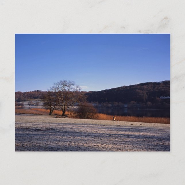 Postal Mañana escarpada Agua de Esthwai Cumbria Inglaterr (Anverso)