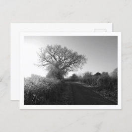 Postal Mañana helada: Cheshire