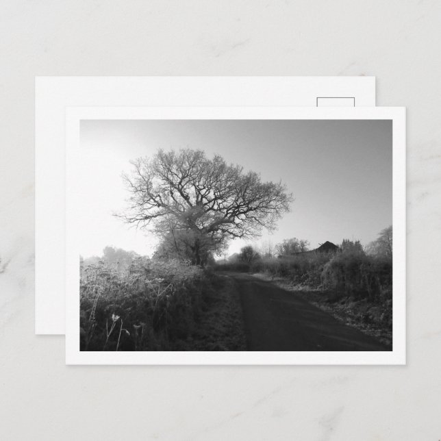 Postal Mañana helada: Cheshire (Anverso / Reverso)