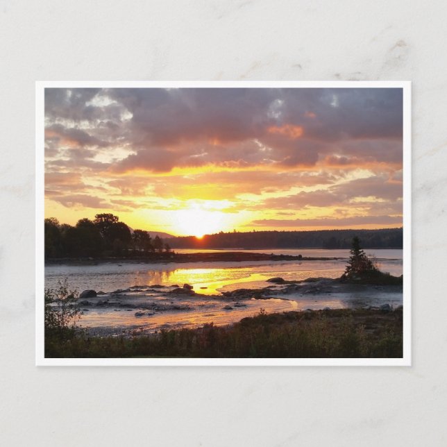 Postal Mañana otoño en la costa de Maine (Anverso)