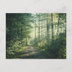 Postal Mañana soleado de octubre en Hamburgo