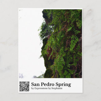 Postal Manantial de San Pedro