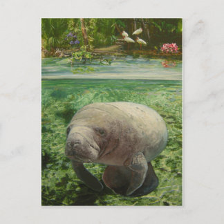 POSTAL MANATEE