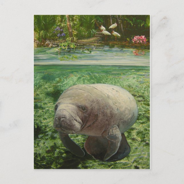 POSTAL MANATEE (Anverso)