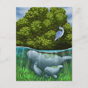 Postal Manatee Mom y Calf