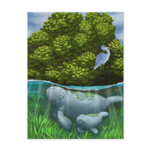 Manatee Mom y Calf