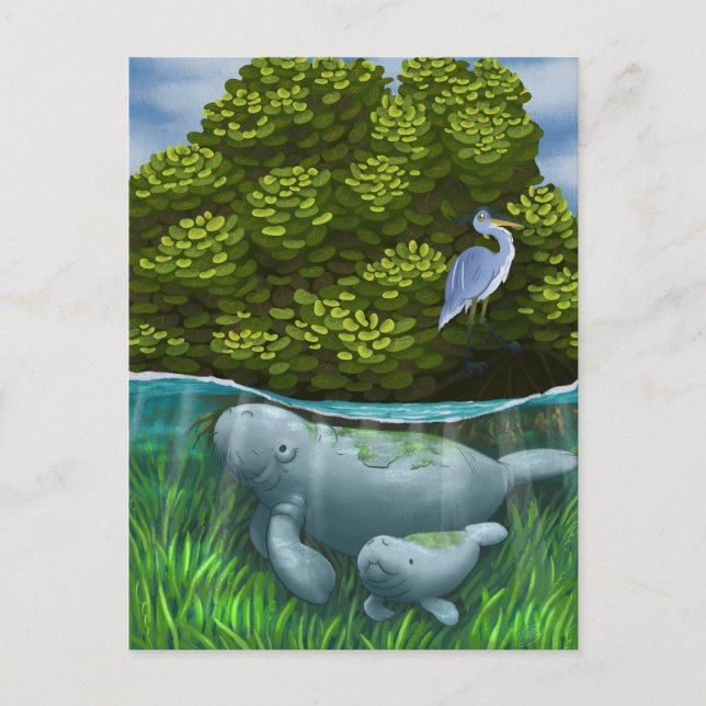 Postal Manatee Mom y Calf (Anverso)