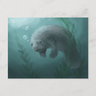 Postal Manatee Postcard