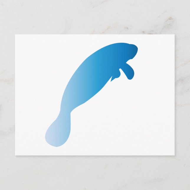 Postal Manatee Postcard (Anverso)