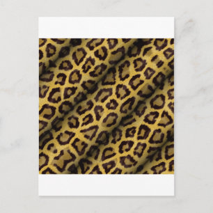 Postal Manchas de Leopardo