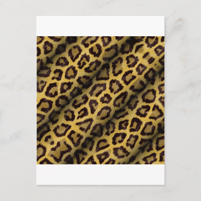 Postal Manchas de Leopardo (Anverso)