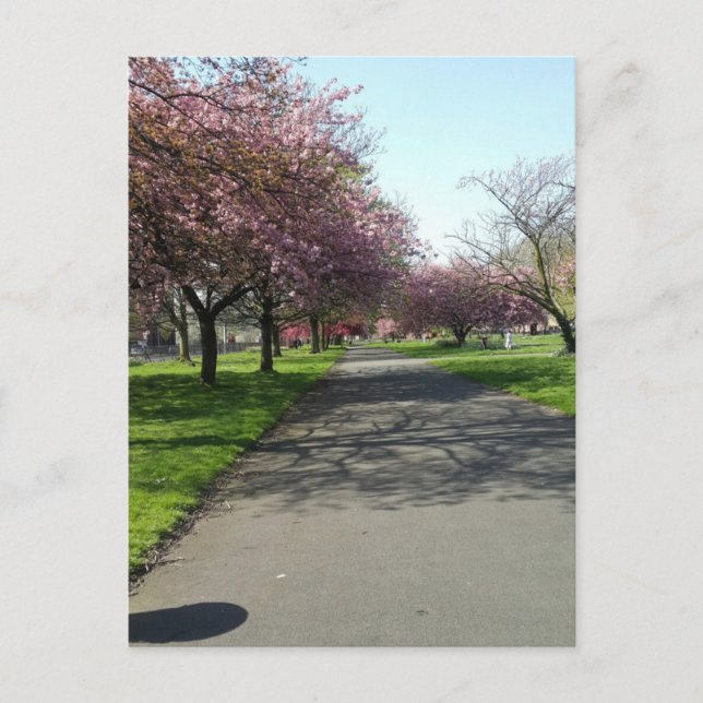 Postal Manchester en primavera (Anverso)