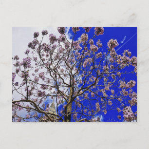 Postal Manchester Spring