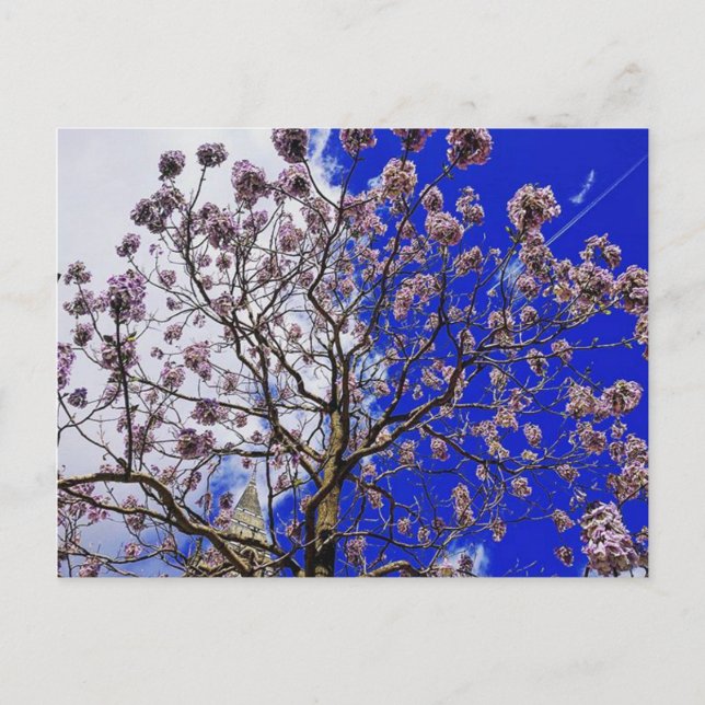 Postal Manchester Spring (Anverso)