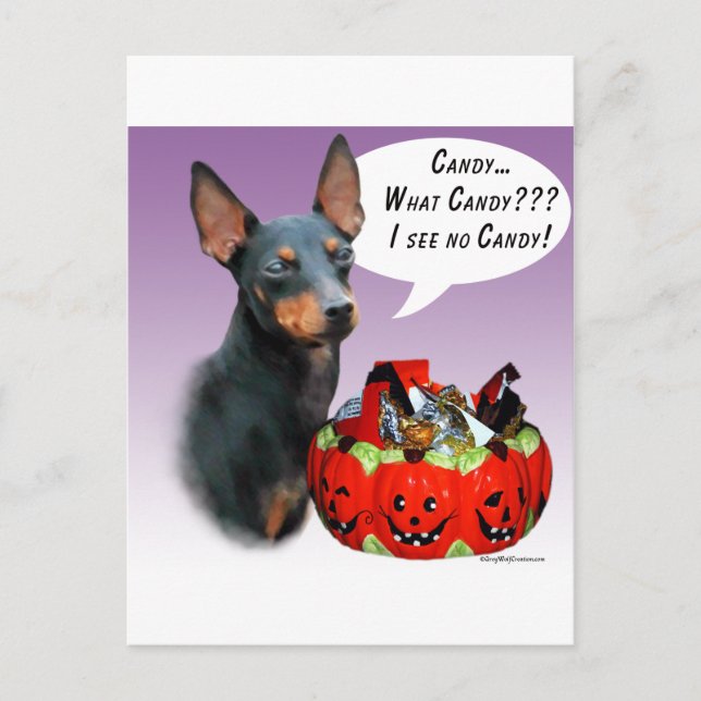 Postal Manchester Terrier Halloween Candy (Anverso)