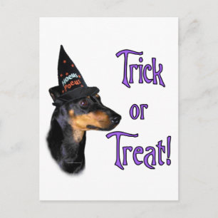 Postal Manchester Terrier Trick