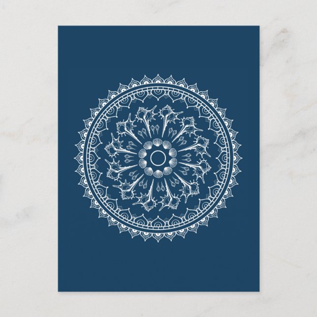 Postal Mandala Hecha De Semillas (Anverso)