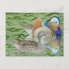 Postal Mandarin Ducks en un lago