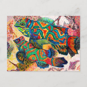 Postal Mandarin Fish Art
