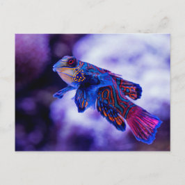Postal Mandarin Goby Fish