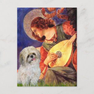 Postal Mandolin Angel - Shih Tzu (P)