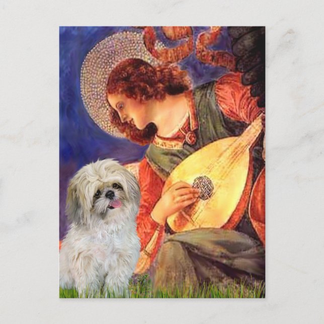 Postal Mandolin Angel - Shih Tzu (P) (Anverso)