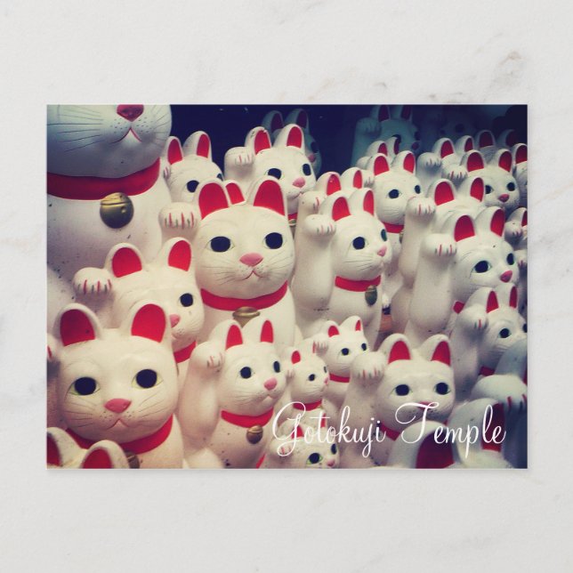Postal Maneki Neko, gatos afortunados del templo Gotokuji (Anverso)