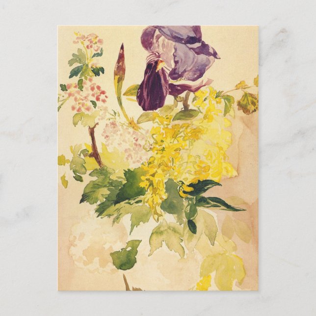 Postal Manet Bella Artes Postcard (Anverso)