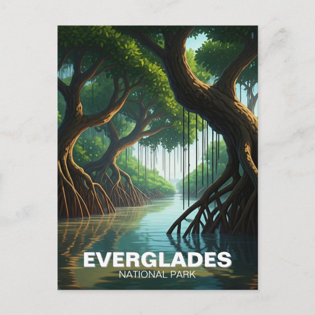 Postal Manglar del Parque Nacional Everglades (Anverso)