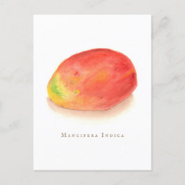 Postal ¡Mango!