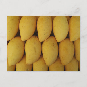Postal Mango