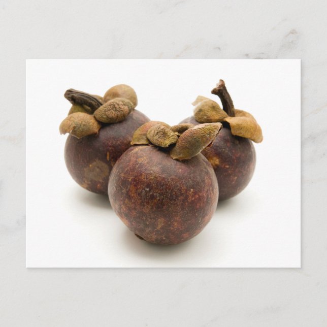 Postal Mangosteen púrpura (Anverso)