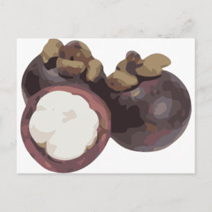 Postal Mangosteen Sweet and Tangy Fruit de Tailandia