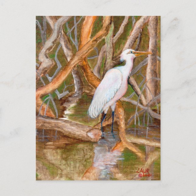 Postal Mangrove Egret No. 2 (Anverso)