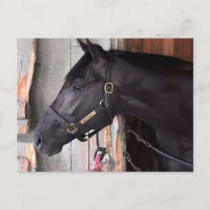 Postal Manifestación de Bully por Bellamy Road-Flaming Sl