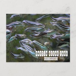 Postal Manila Ocean Park