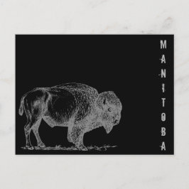 Postal Manitoba Bison