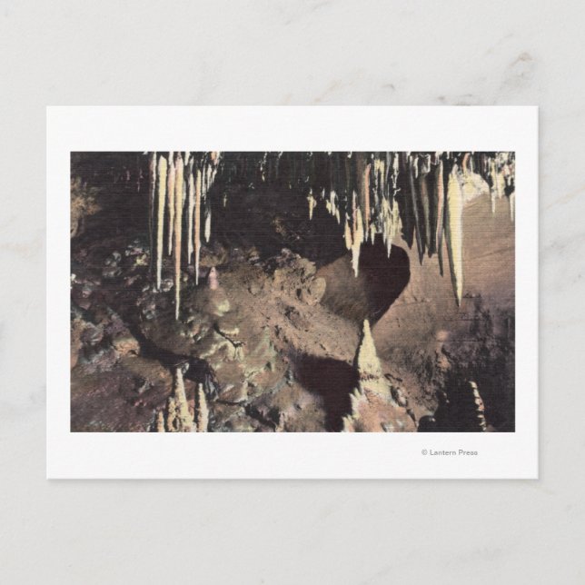 Postal Manitou Springs, Colorado - La Cámara Bridal (Anverso)